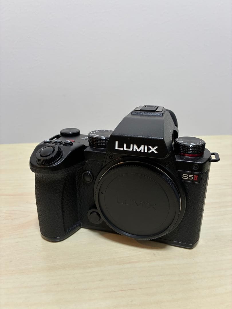 LUMIX ルミックス s5II DC-S5M2W 標準ズーム・単焦点キット