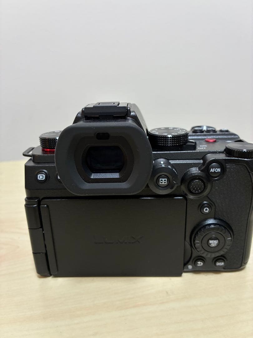 LUMIX ルミックス s5II DC-S5M2W 標準ズーム・単焦点キット