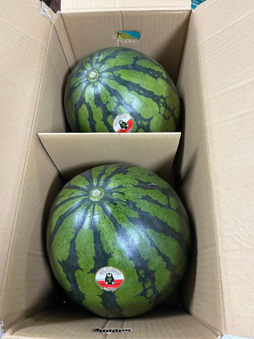 熊本県スイカLサイズ2玉入り 約14kg