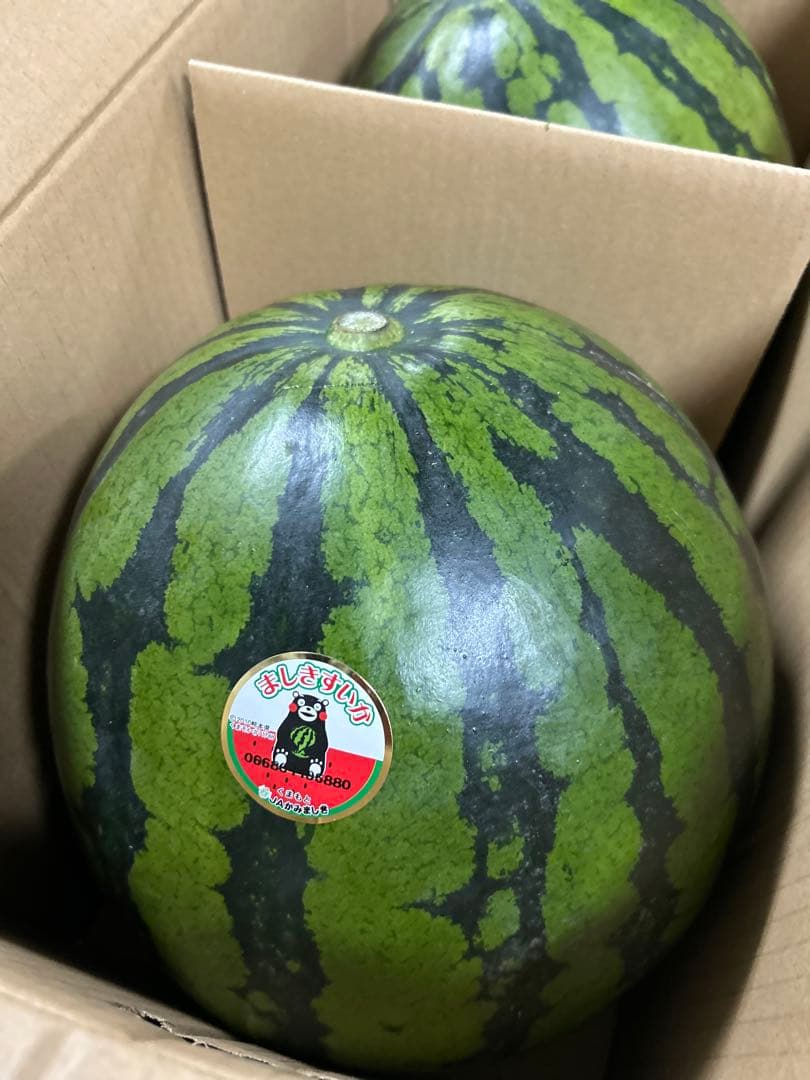 熊本県スイカLサイズ2玉入り 約14kg