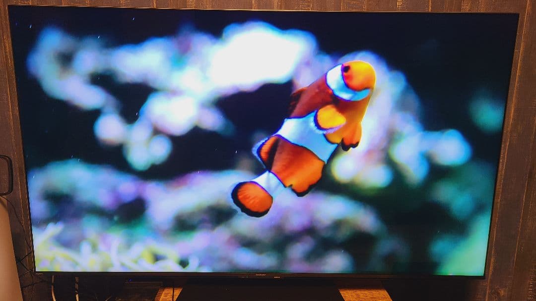 SHARP AQUOS XLED 4T-C65DP1 4K 65型 液晶テレビ