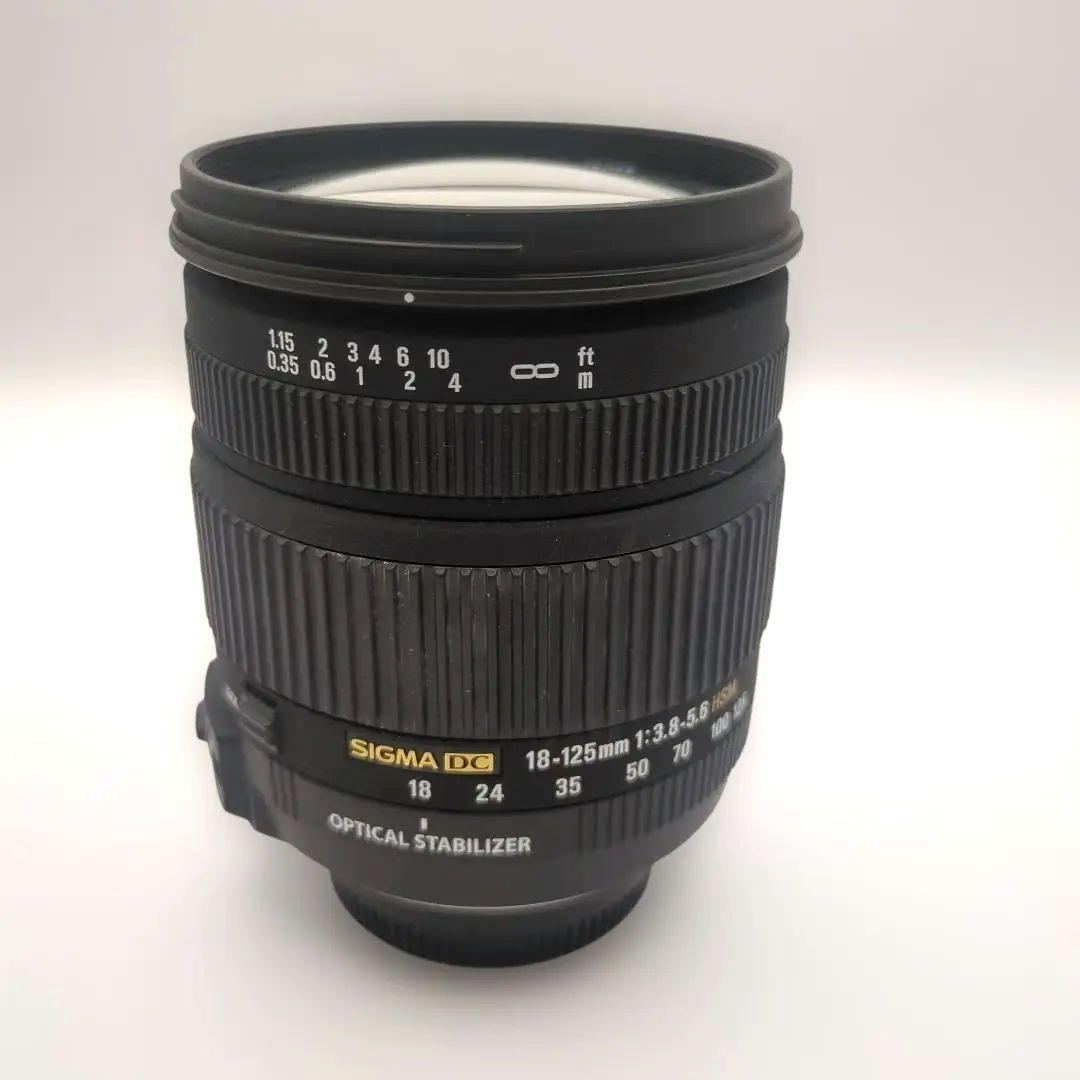 Nikon D80 シグマ18-125mmレンズ付き 動作確認済 CCDセンサー