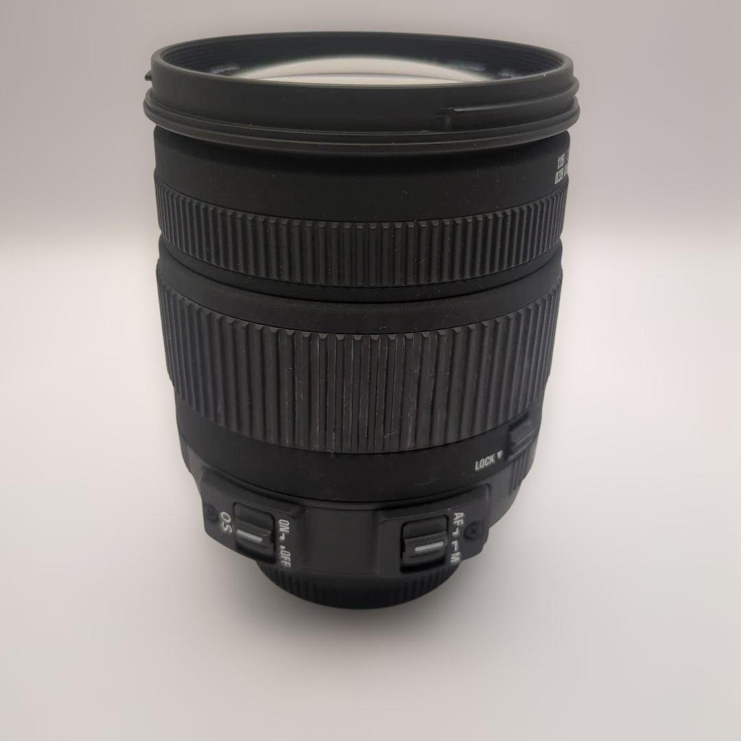 Nikon D80 シグマ18-125mmレンズ付き 動作確認済 CCDセンサー