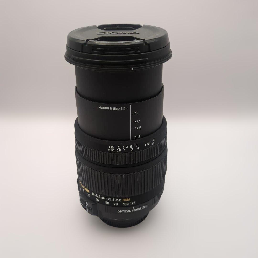 Nikon D80 シグマ18-125mmレンズ付き 動作確認済 CCDセンサー