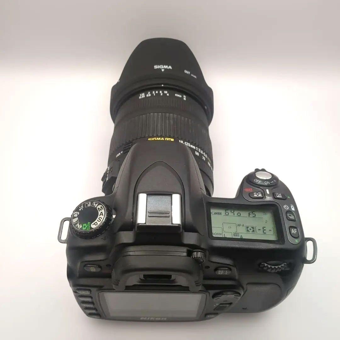 Nikon D80 シグマ18-125mmレンズ付き 動作確認済 CCDセンサー