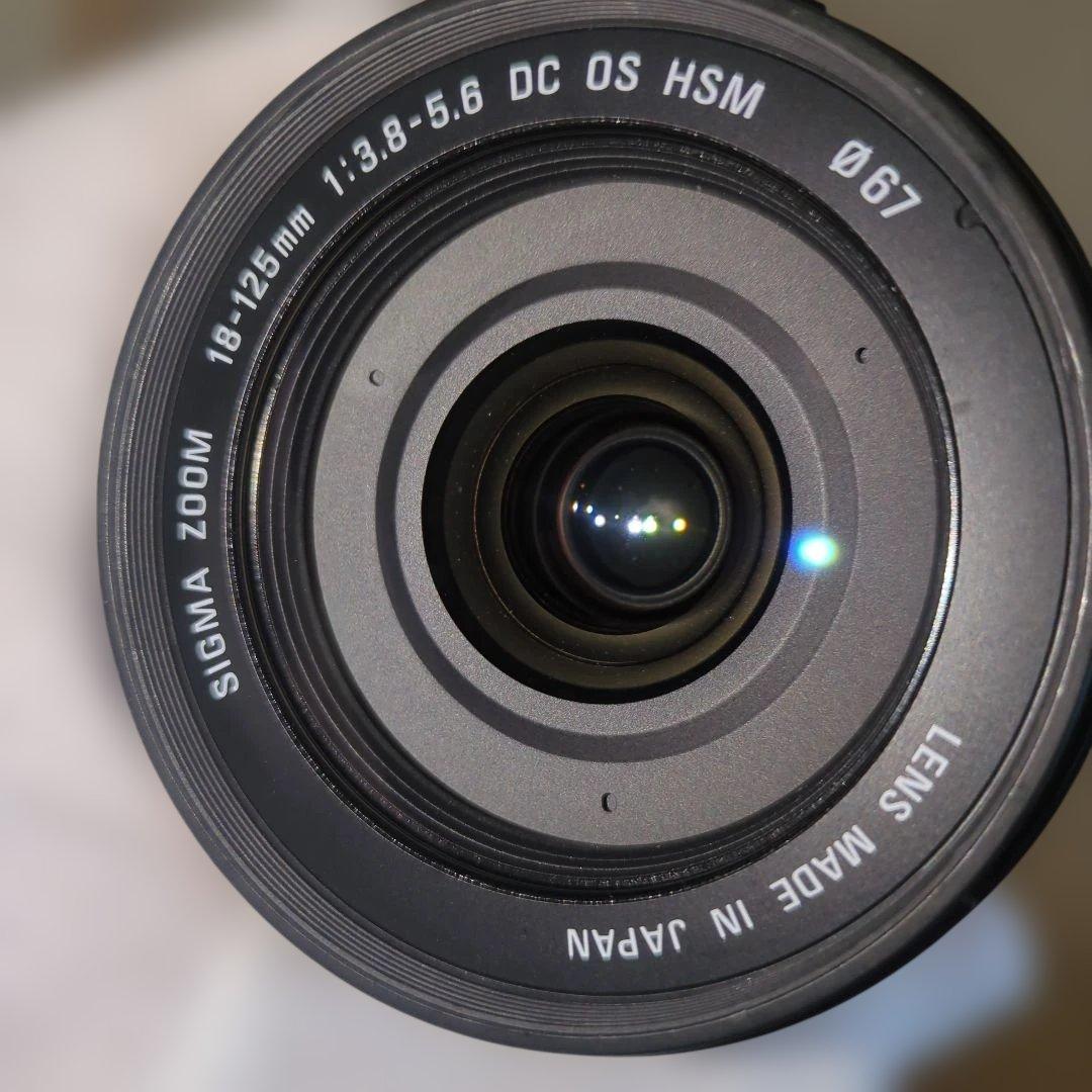 Nikon D80 シグマ18-125mmレンズ付き 動作確認済 CCDセンサー