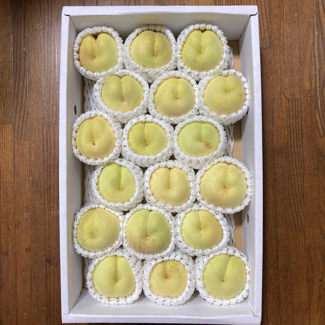 satomion　岡山産　白桃　冬桃　18玉