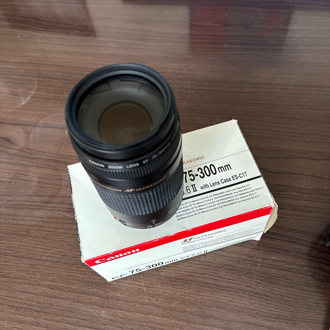 Canon EOS EF 75-300mmセット