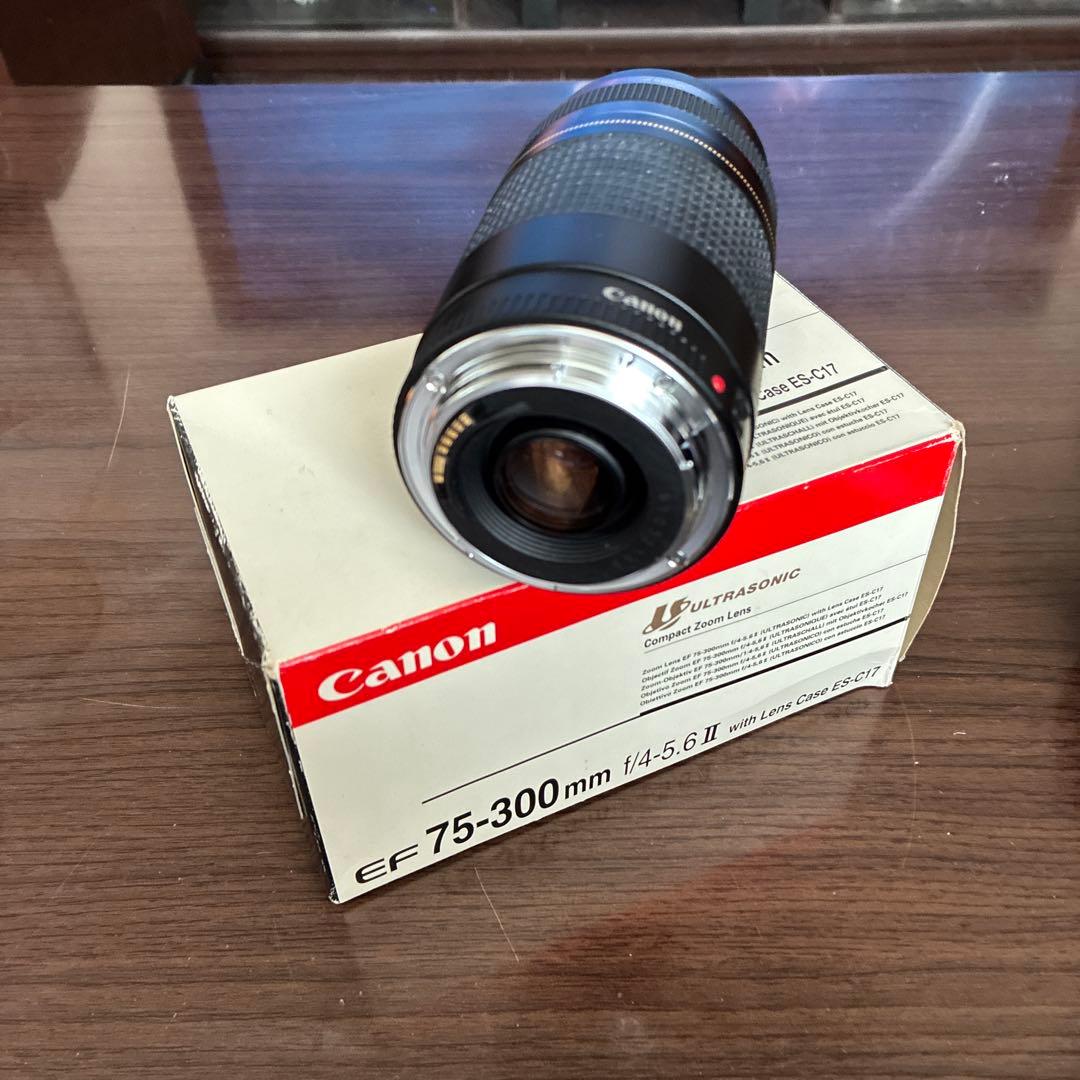 Canon EOS EF 75-300mmセット