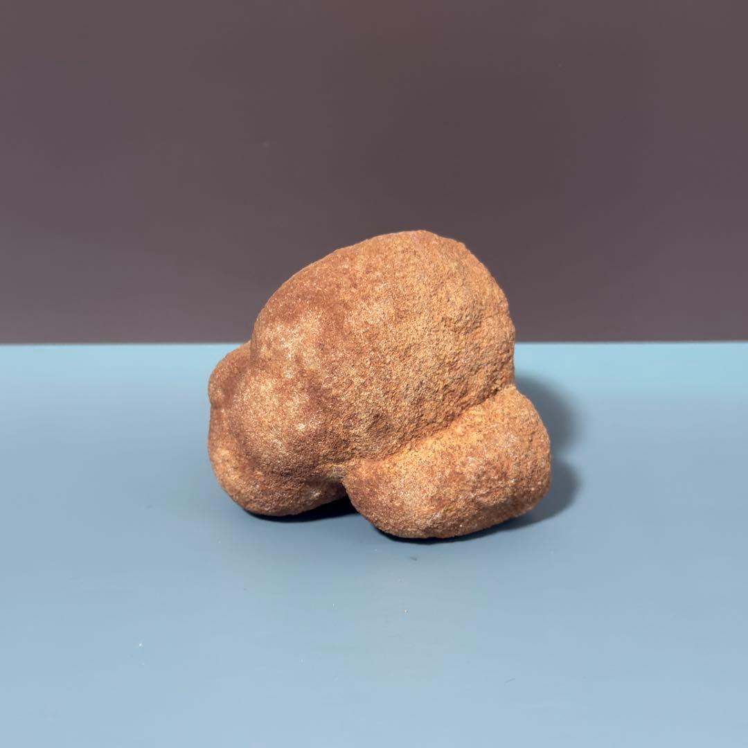 【専用ページ】1/15ご予約分✴︎ 5次元モードへの霊的覚醒を促すブレッド