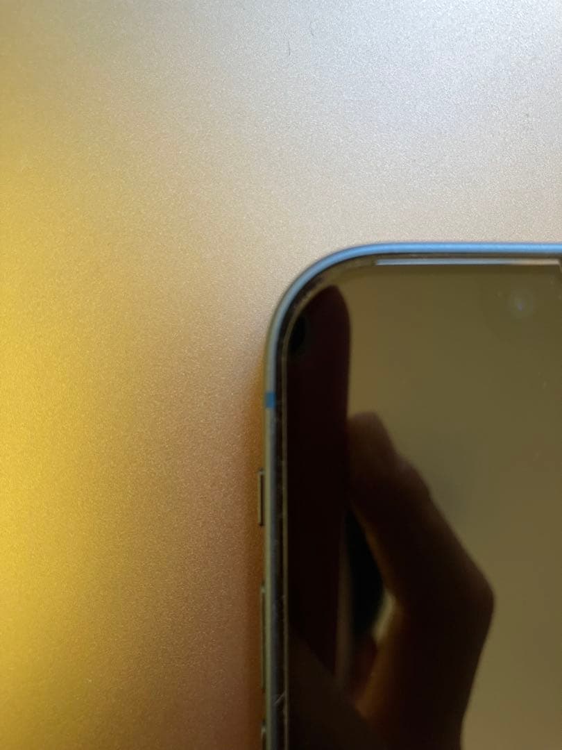 iPhone13 mini 256GB ブルー　純正ケース付