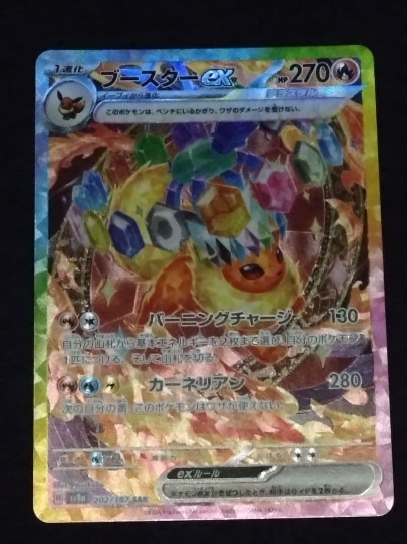 テラスタルフェスex　sar６枚セット　（グレイシア、ブースター　etc)