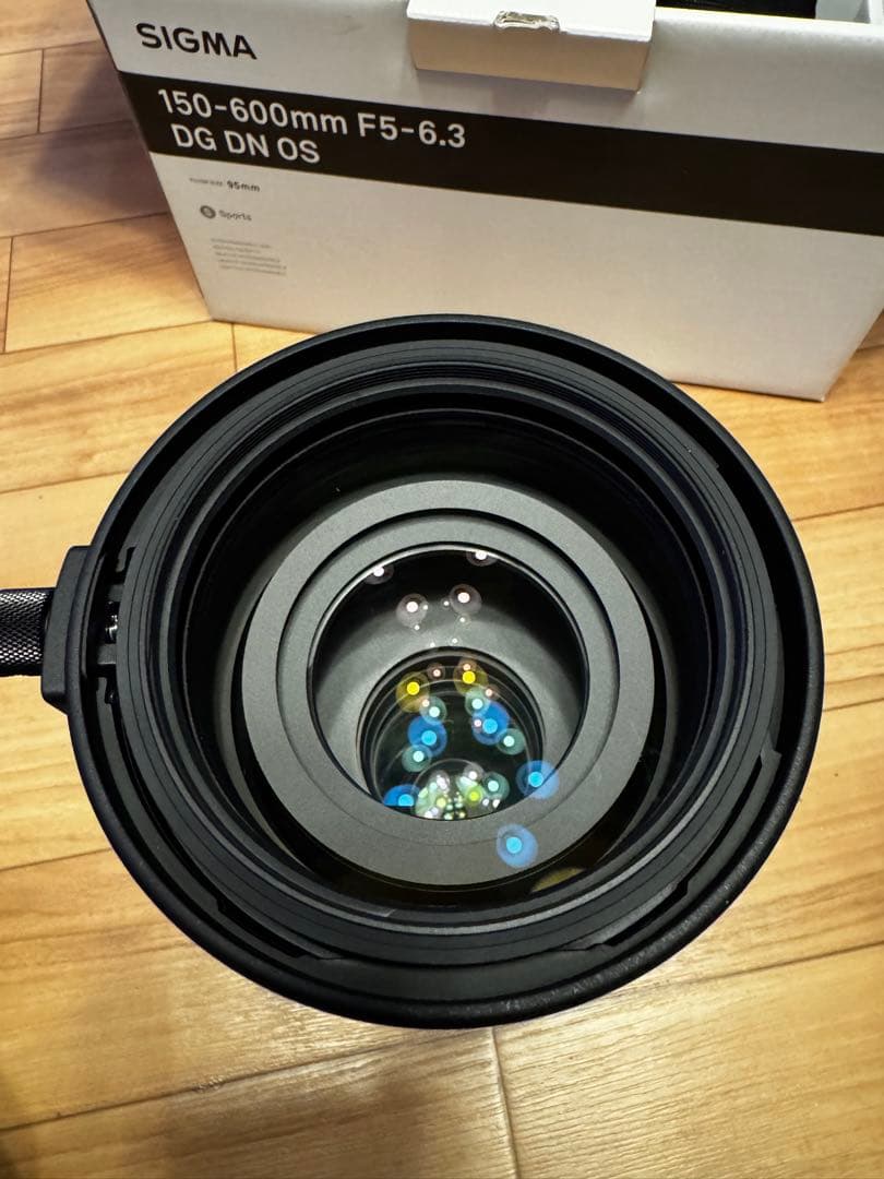 shyunn 　SIGMA 150-600mm f5-6.3 Lマウント