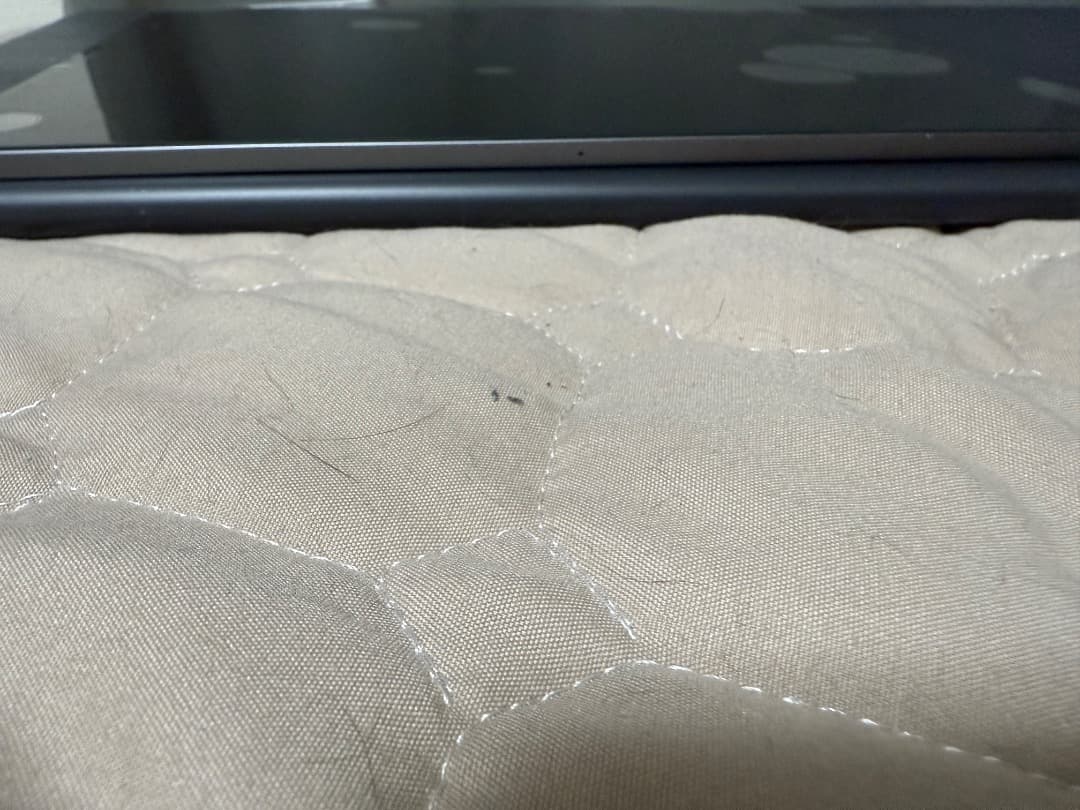 iPad Pro 12.9インチ 第3世代 256GB SIMフリー