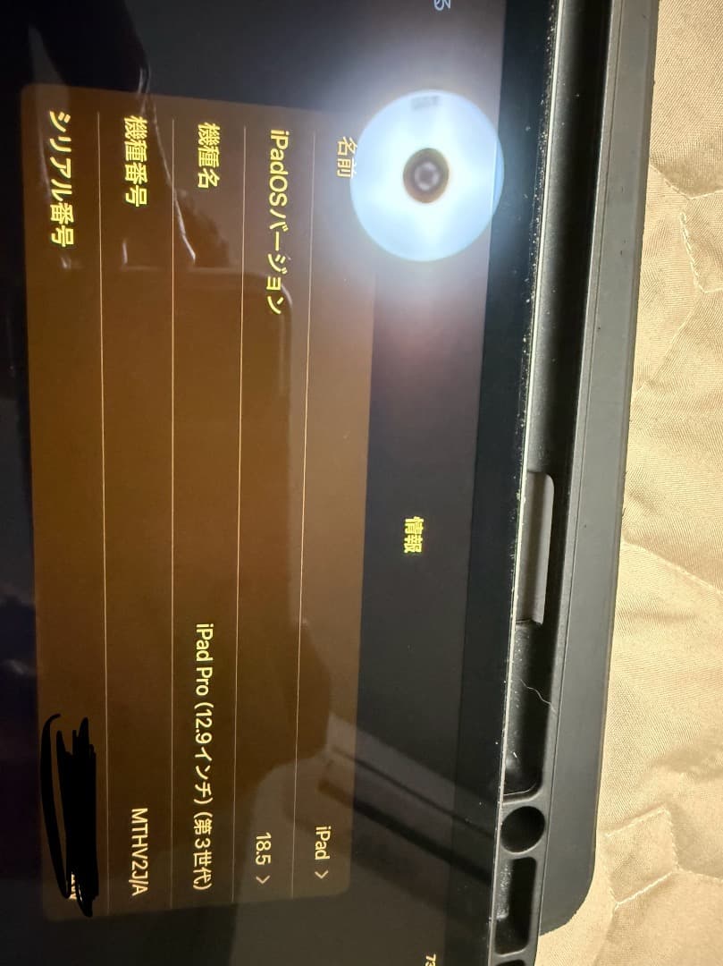 iPad Pro 12.9インチ 第3世代 256GB SIMフリー