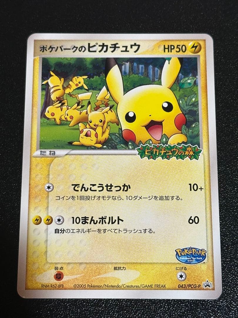 ポケパークのピカチュウ