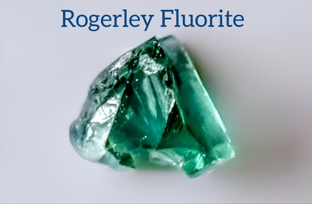 Joy!様 リクエスト 2点 まとめ商品