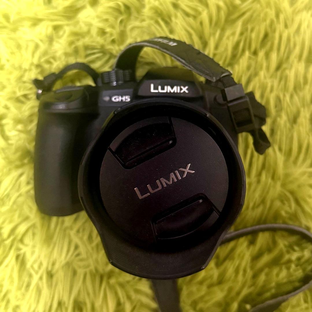 LUMIX GH5 デジタル一眼レフカメラ　12-60mm H-FS12060