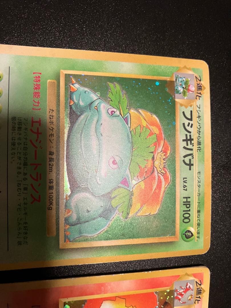 フシギバナ リザードン カメックス 旧裏3枚セット