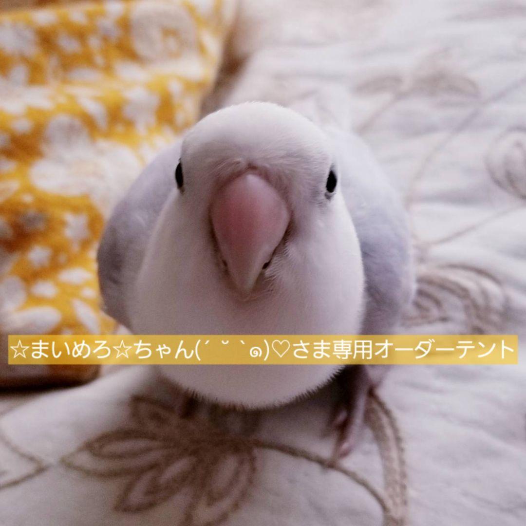 ☆まいめろ☆ちゃん(´ ˘ `๑)♡さま専用オーダーテント