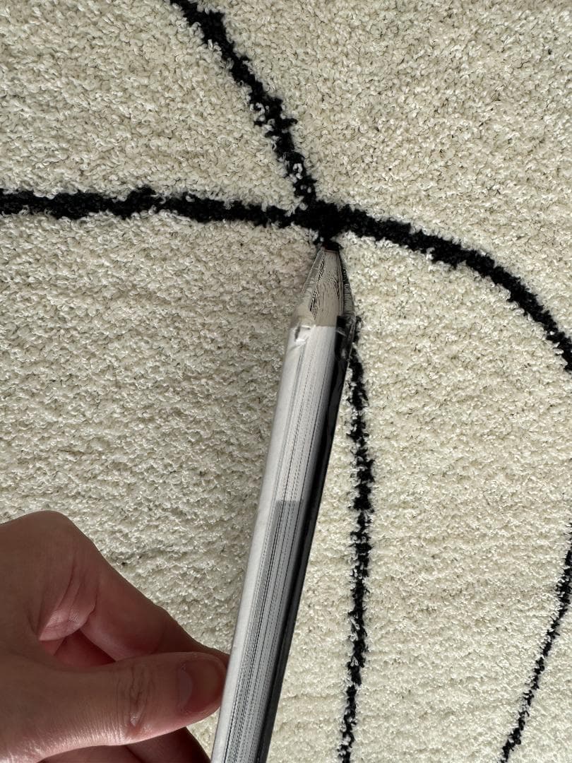 洋書 HEDISLIMANE 写真集 エディスリマン