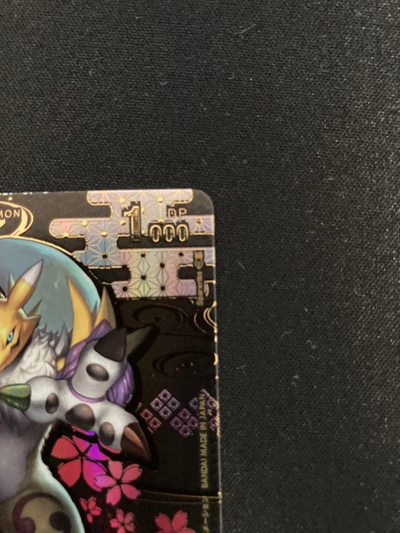 デジモンカード　レナモン　希少　ST22-02