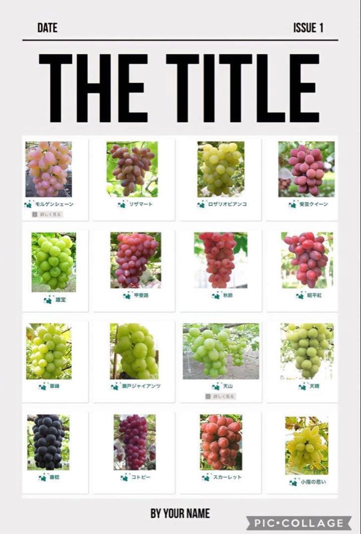 まねき様 美和姫 セブン マイハート 愛妻 ジーコ バイオレット ヌーベル 他