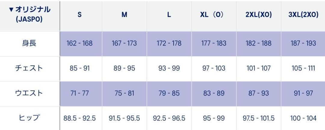 2025年 バレーボール男子日本代表 応援Tシャツ ユニフォーム 甲斐優斗 L
