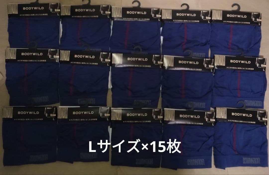 ボディワイルド 3D－Boxer 15枚(Lサイズ)前閉じ