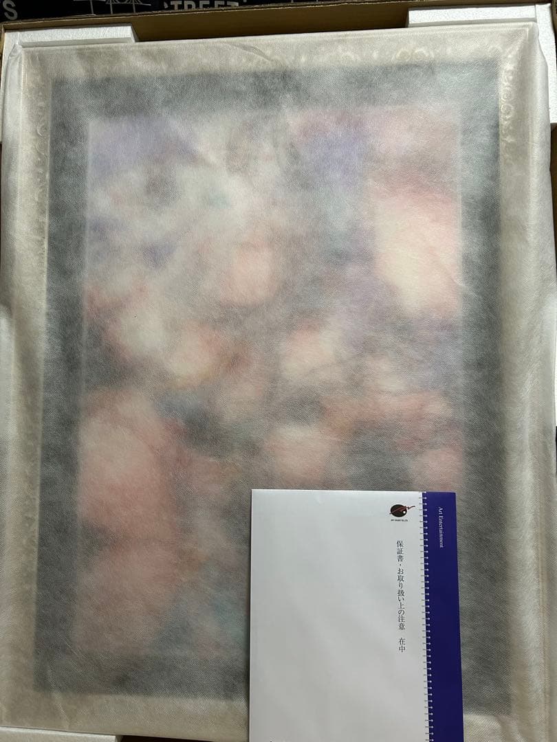 アールジュネス版画　双星の踊り子DX版　ももこ先生