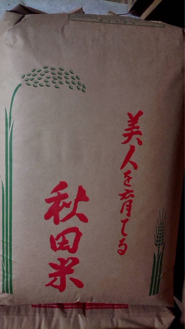 ★令和7年 ‪新米 ひとめぼれ 25kg 秋田県産 産地直送★