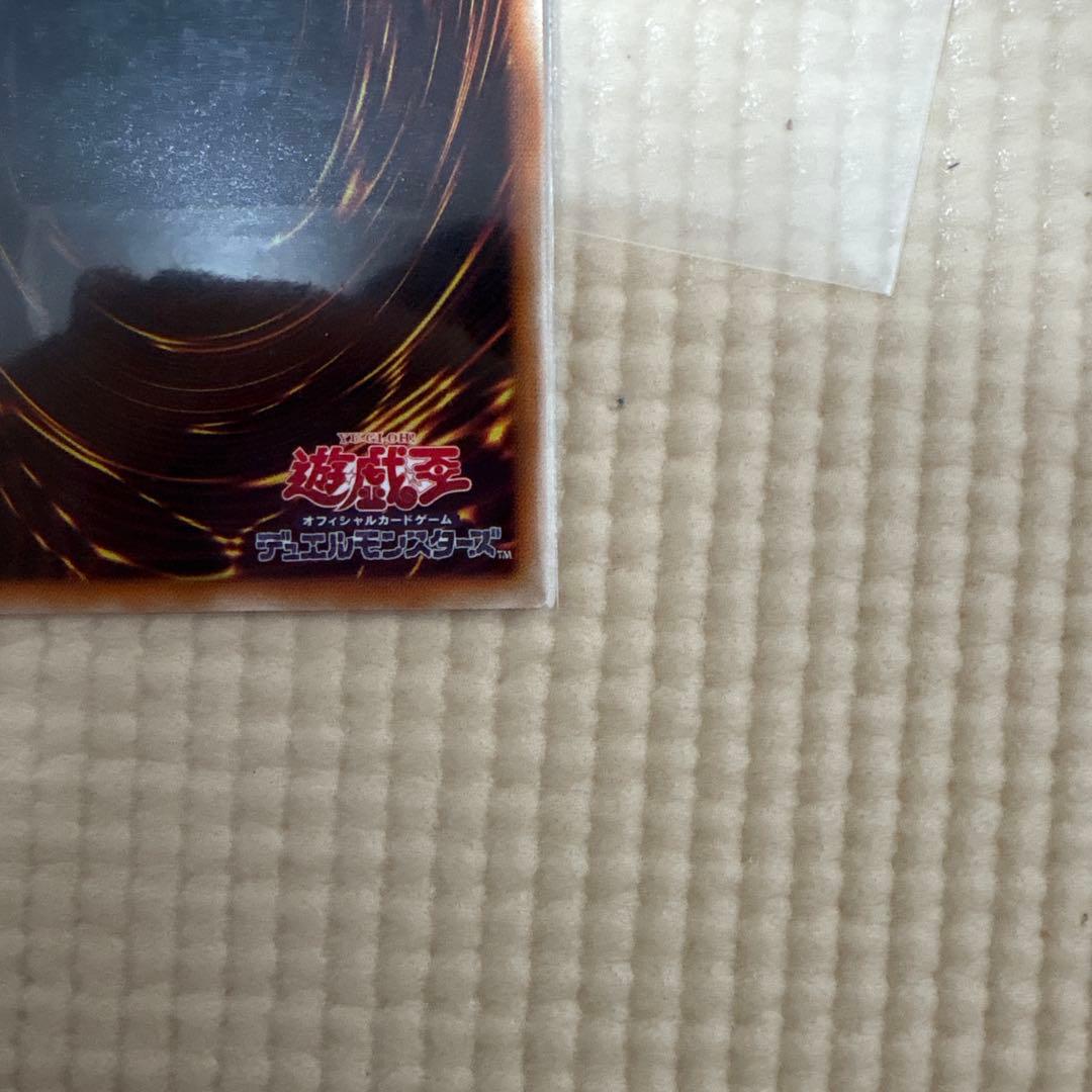 氷結界の龍 トリシューラ、ブラックローズおまとめ