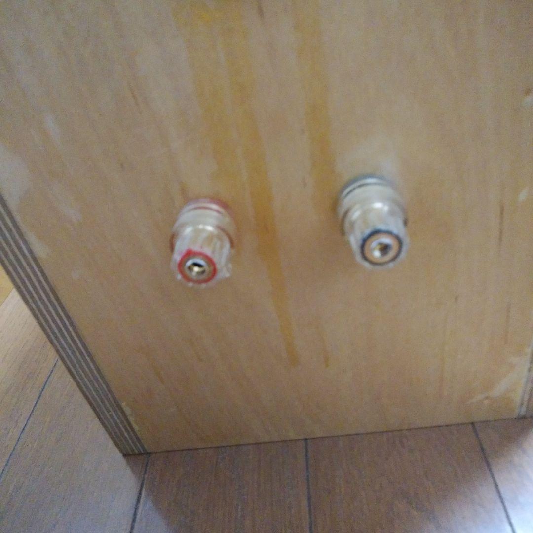 激安!音工房 Z-Livorno キット完成品