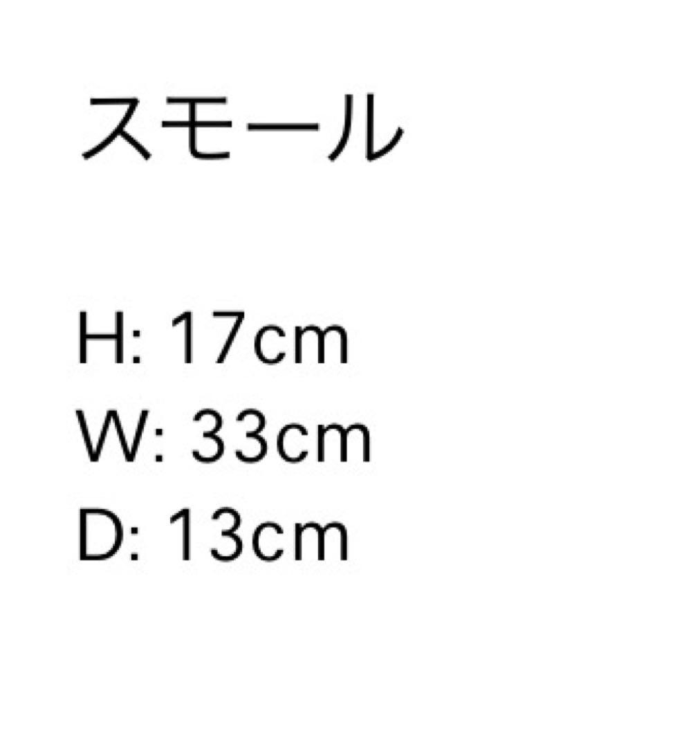 LOEWE バスケットバッグ　スモール