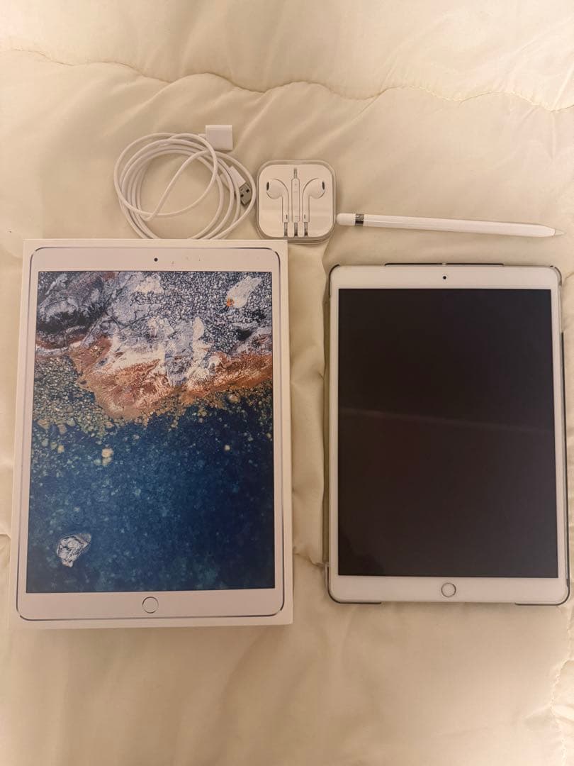 Apple iPad Pro (10.5インチ) 本体 付属品付き