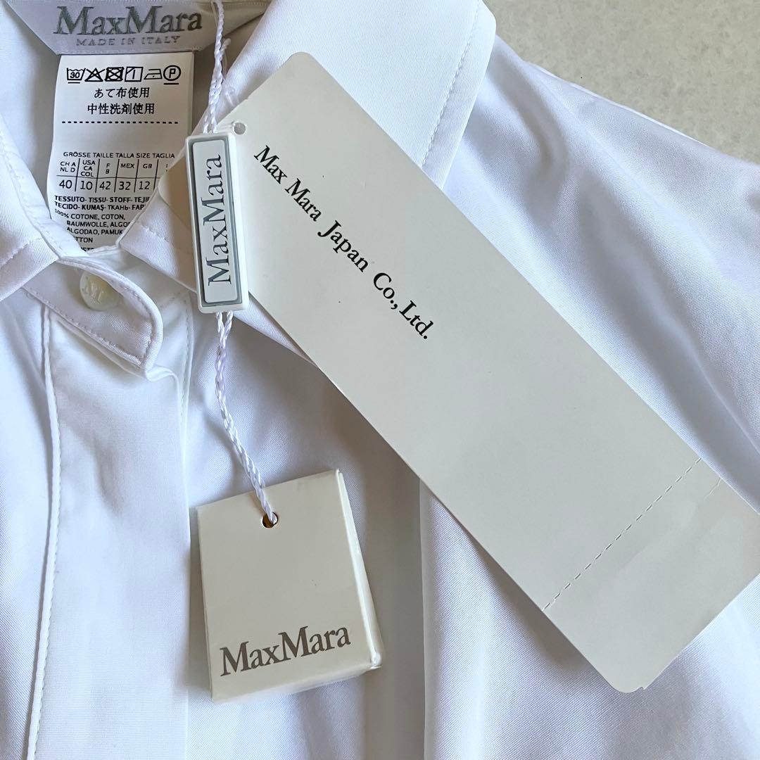 【Max Mara】2019年 ボウタイ ブラウス ドルマンスリーブ 44サイズ