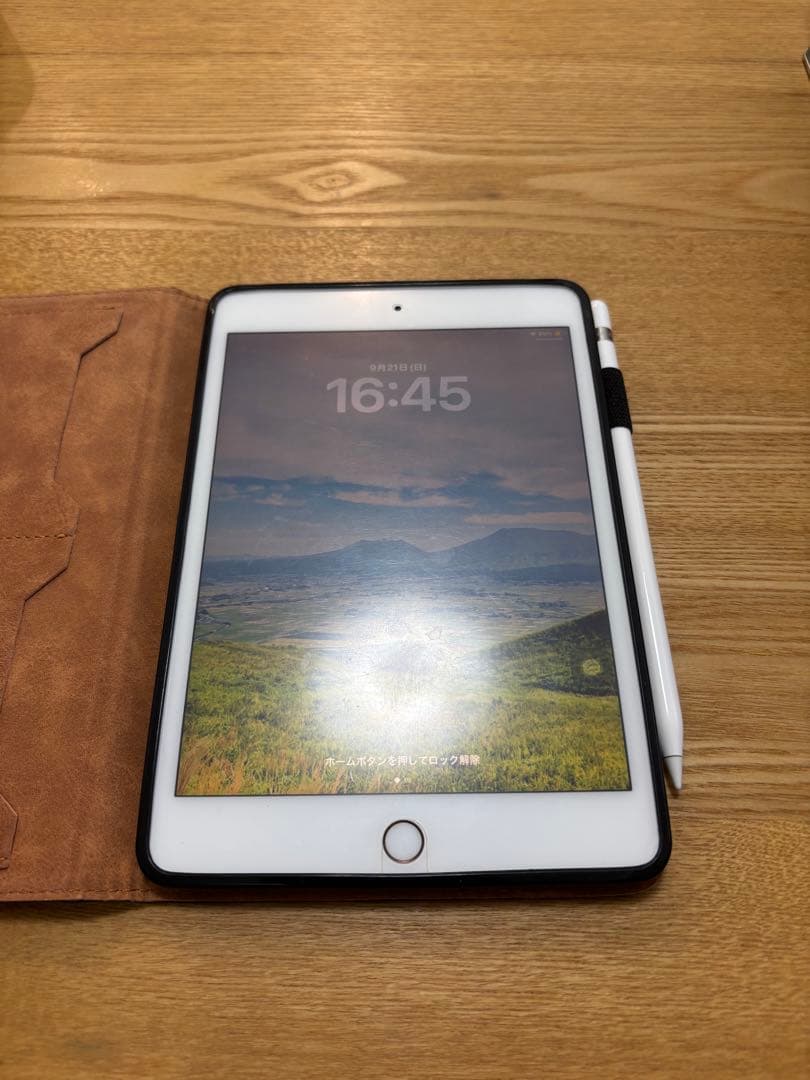 【美品】Apple iPad mini 第5世代 本体 Pencil・カバー付