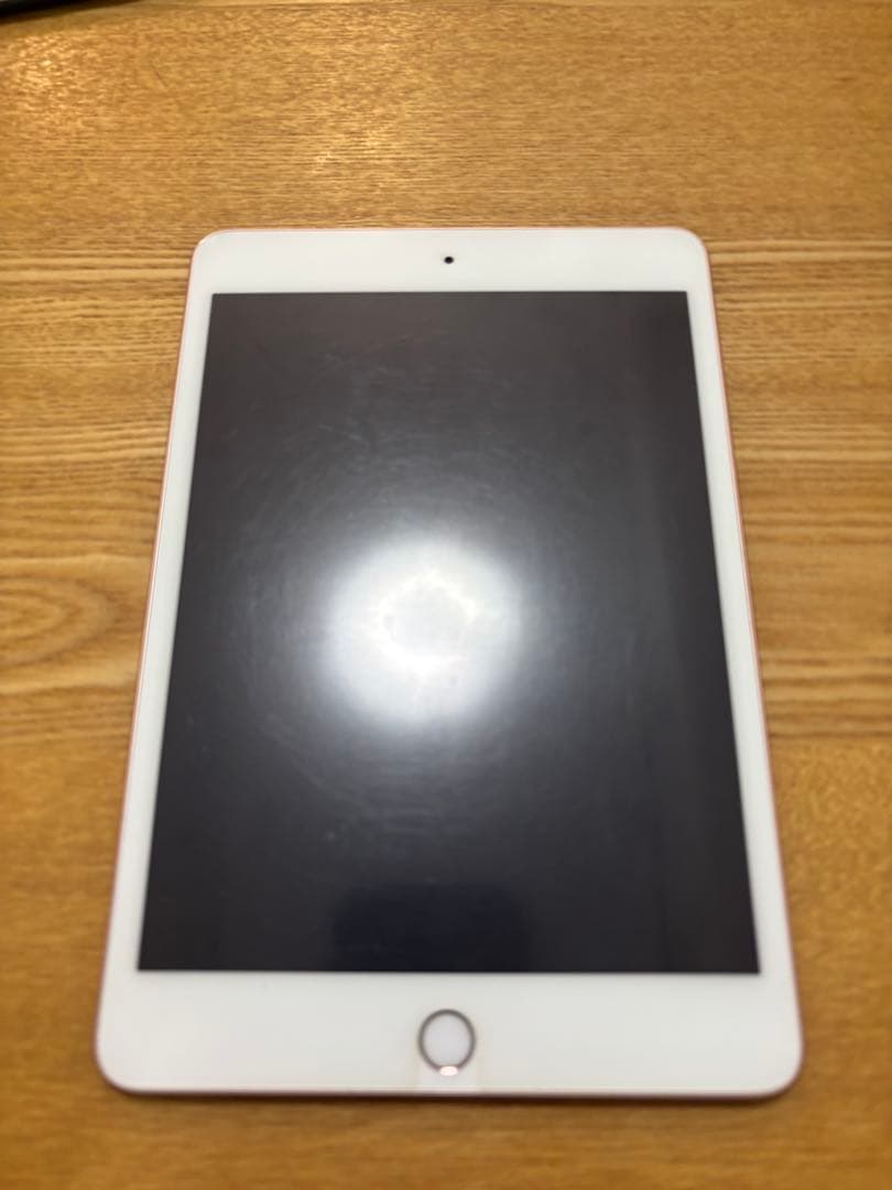【美品】Apple iPad mini 第5世代 本体 Pencil・カバー付