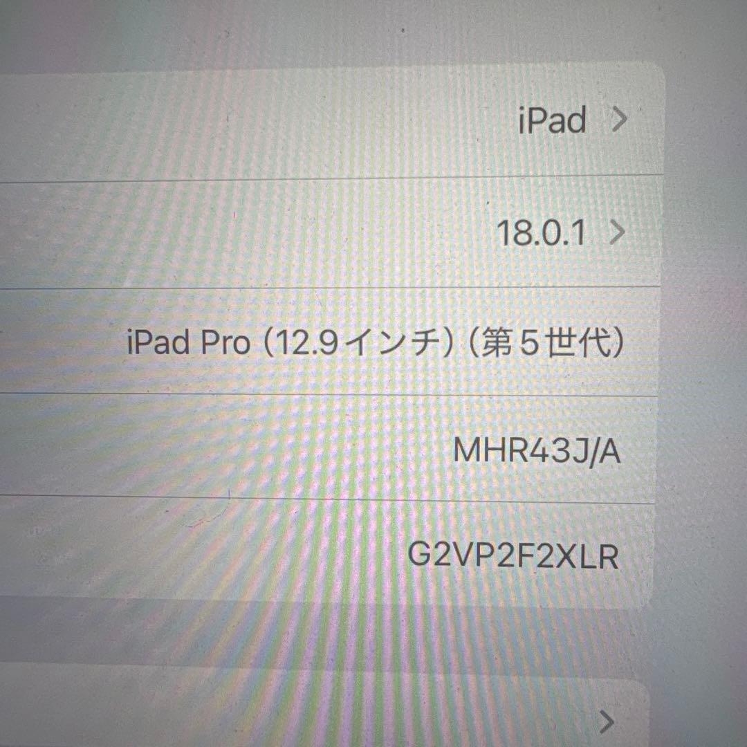 iPad Pro (12.9インチ) 第5世代 本体