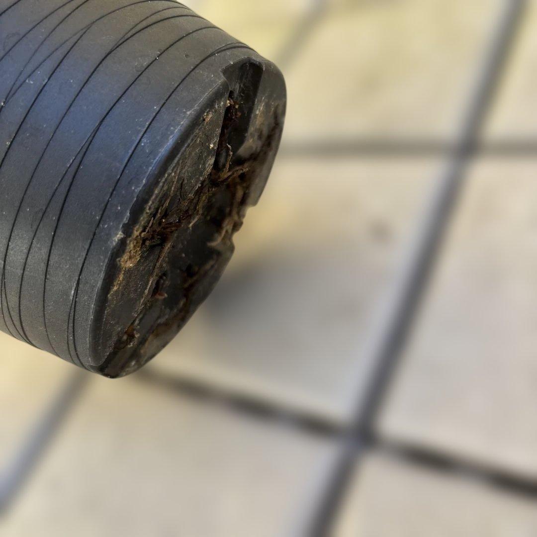 まい　ブラックマジック整形広瀬園芸　クリスマスローズ　開花株　匿名発送