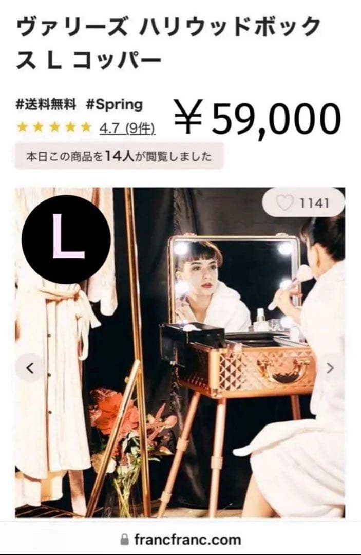 748 【￥59,000】Ｌサイズ／完売カラー入手困難コッパー／ハリウッドＢＯＸ