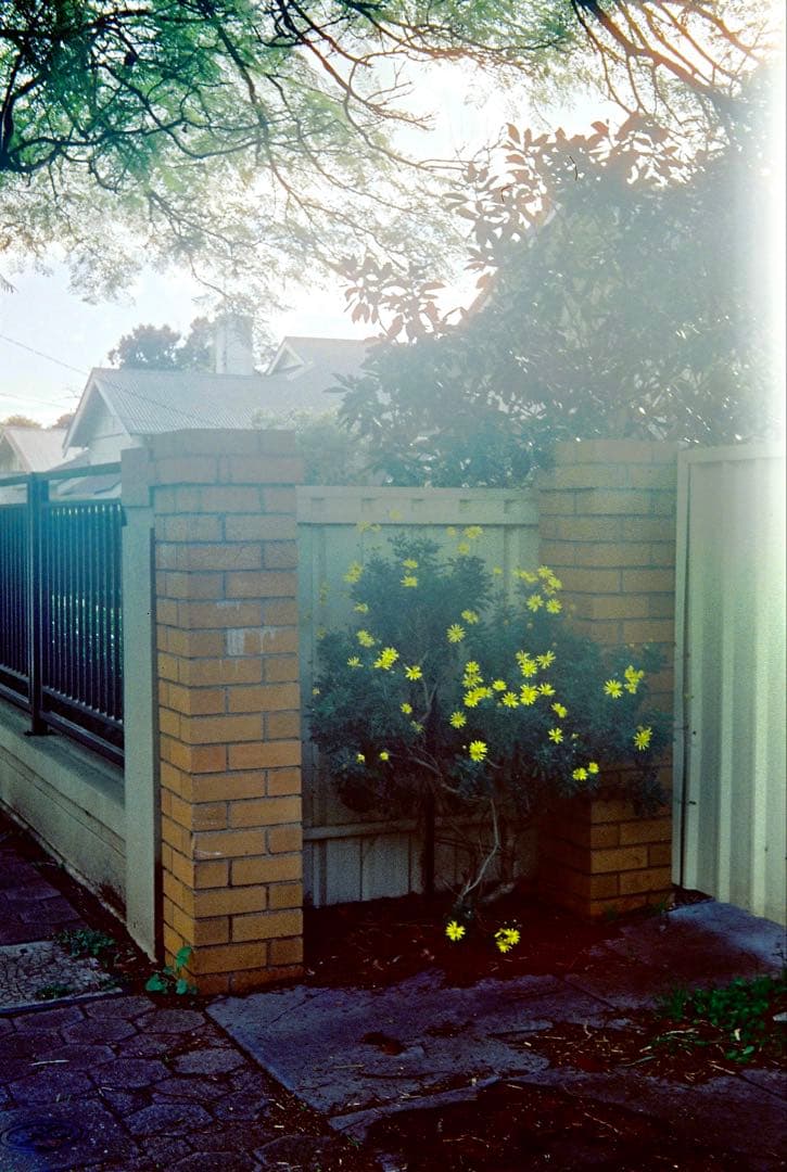 ローライ ROLLEI B35 【撮影可】【ジャンク】【作品アリ】