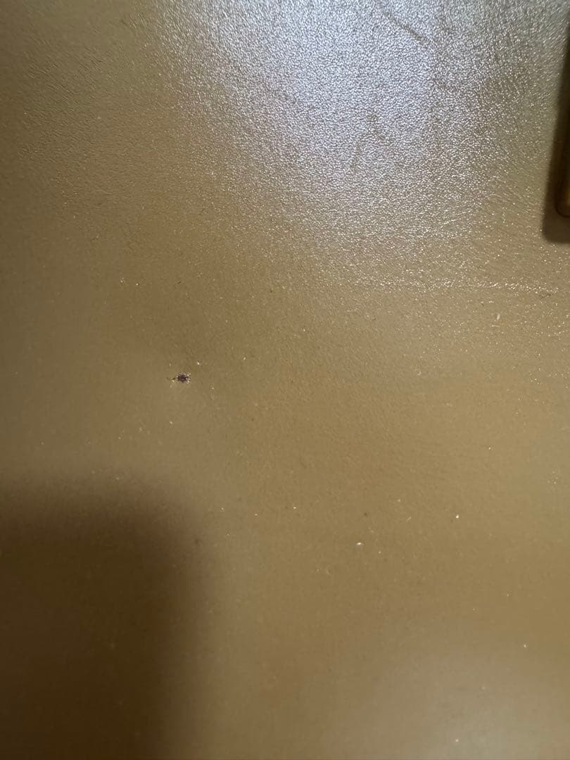 フェラガモ レザートートバッグ ベージュ　ゴールド金具　比較的美品