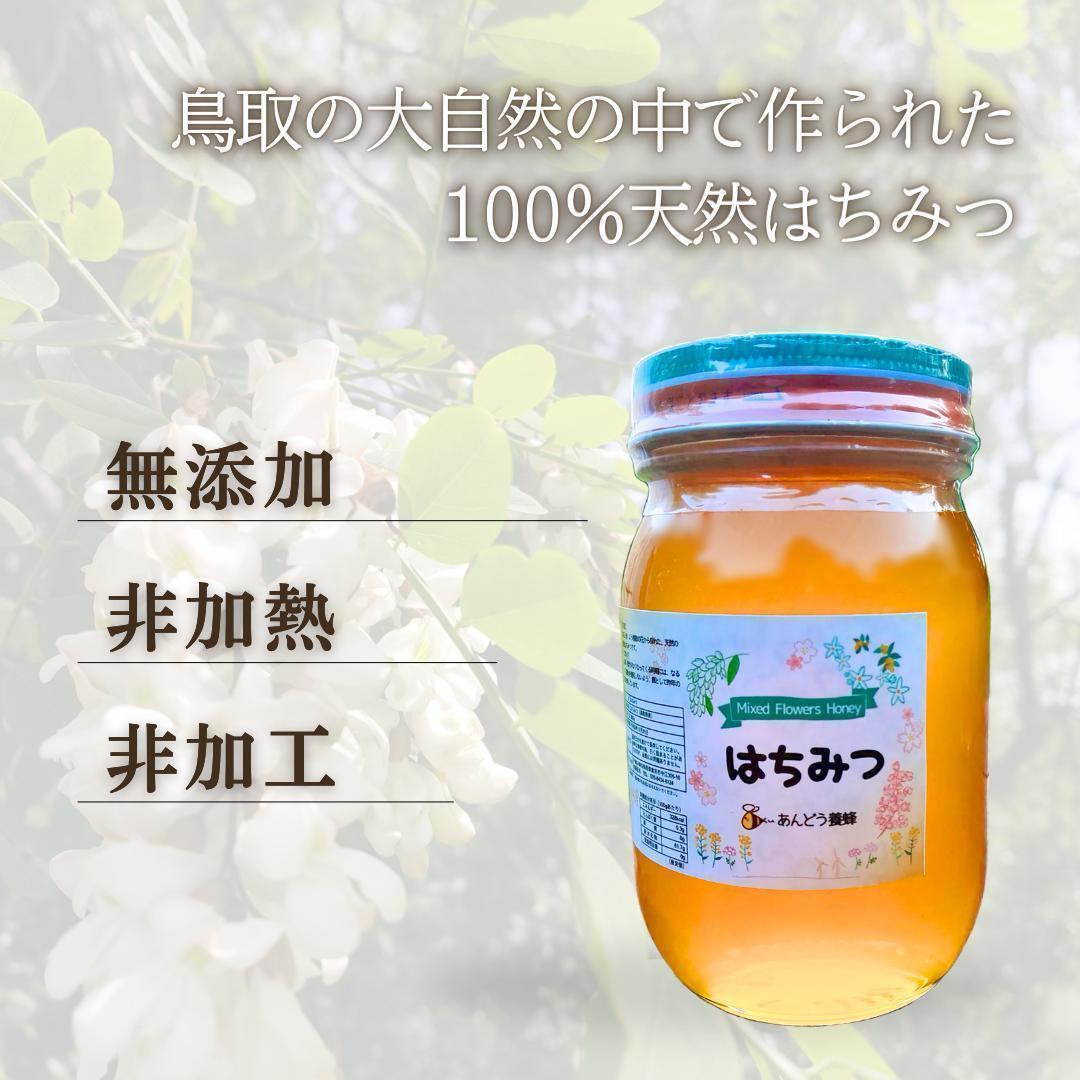 はちみつ 600g×3瓶 蜂蜜 ハチミツ 国産