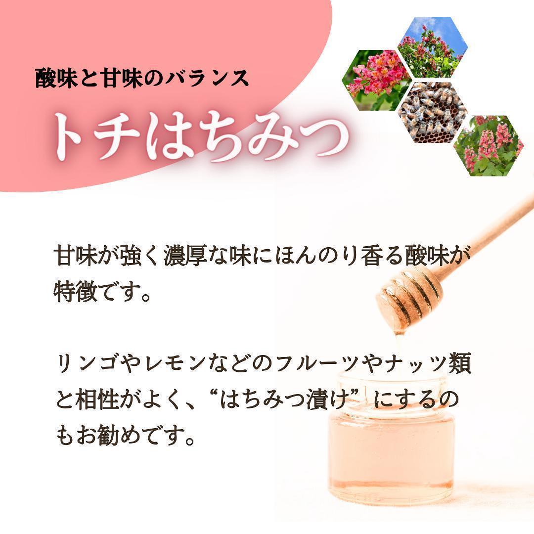 はちみつ 600g×3瓶 蜂蜜 ハチミツ 国産