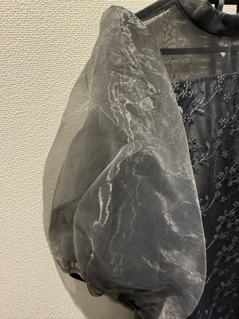 シアー素材 ボリューム袖 レース オケージョン ドレス kana