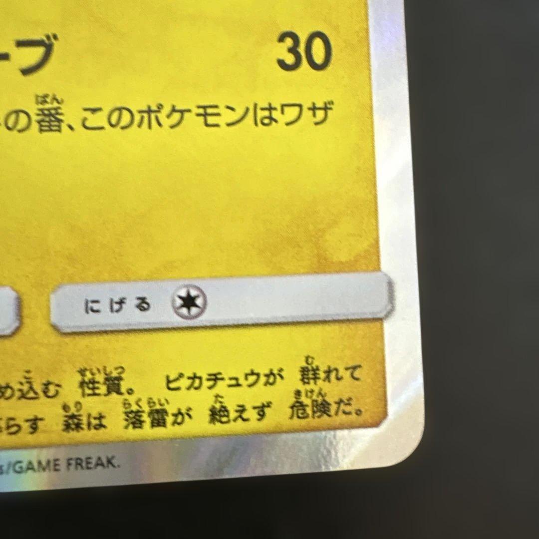 海で遊ぶピカチュウ：My251ポケモンセンター真夏のピカピカ大作戦キャンペーン…