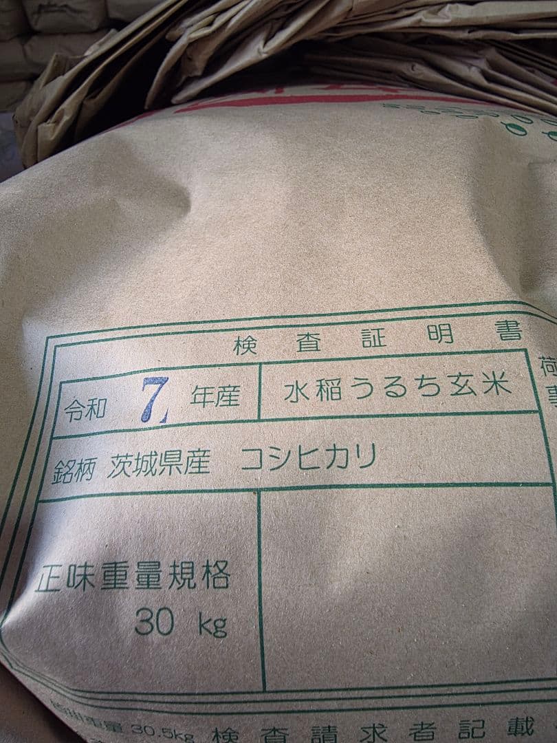 茨城県産 コシヒカリ 10kg玄米