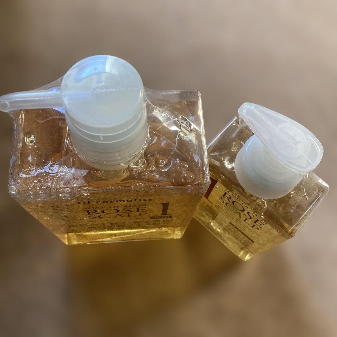 薬用ソープオブヘア・1-ROスキャルプセット