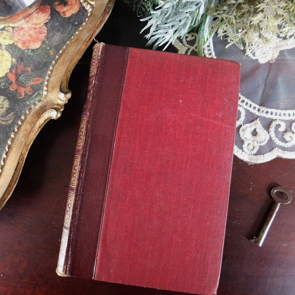 manamani様　アンティーク本　古書　まとめ売り　洋書　8冊